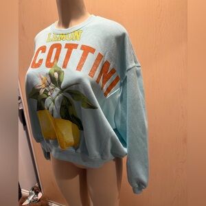 Lux Blue Lemon Graphic Sweater Small nwot